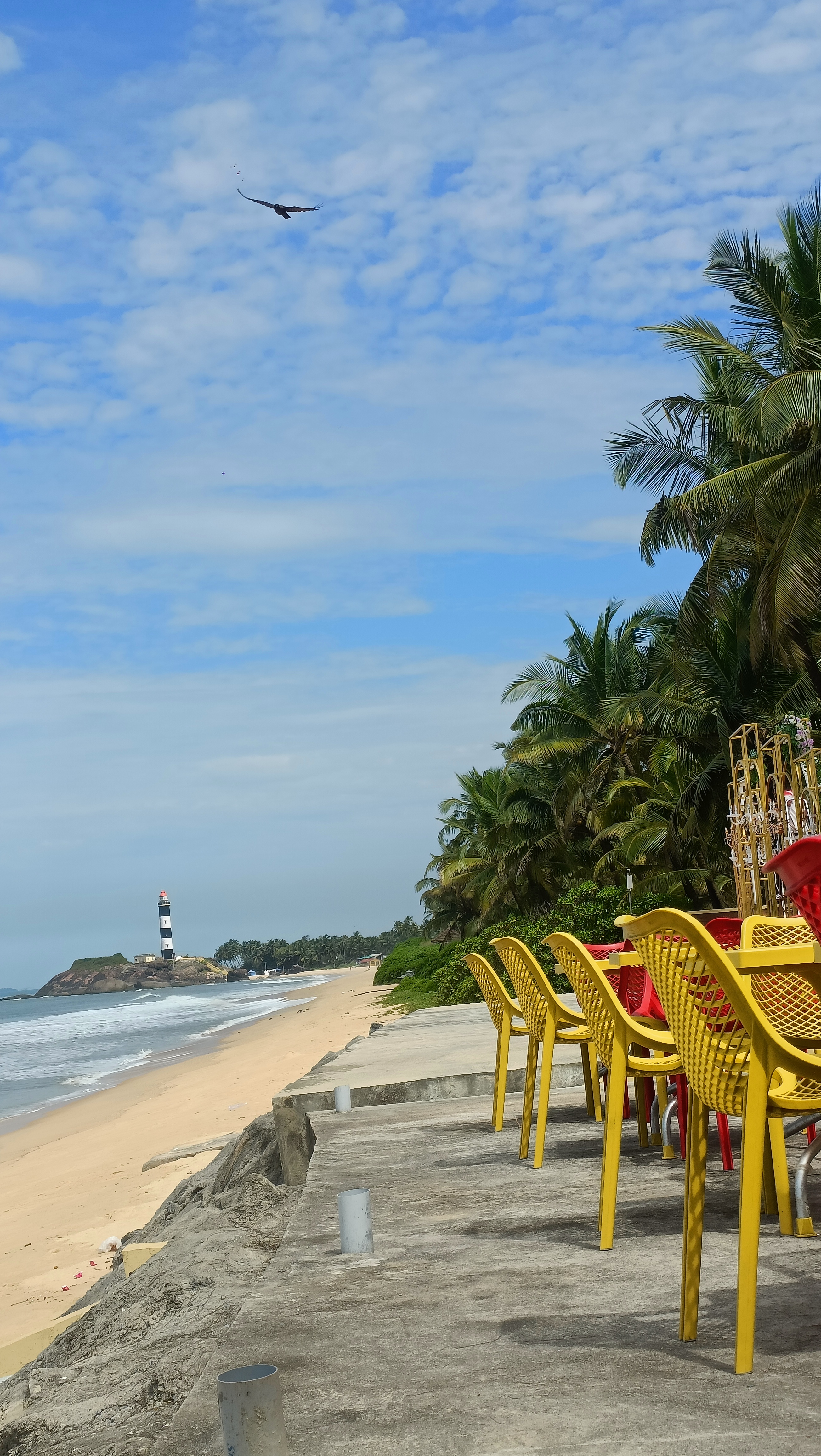 Experienced surf instructor demonstrating proper pop-up technique on surfboard